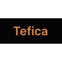 Tefica logo - Similar company to Videotouch
