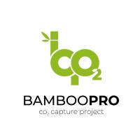BambooPro logo - Similar company to Consorzio Bambù Italia  Soc. Consortile A R.L.