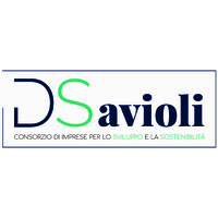 DSAVIOLI - consorzio di imprese per lo sviluppo e la sostenibilità logo - Similar company to Finanza E Contributi