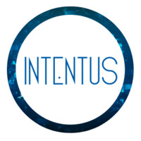 Intentus Consultoria logo - Similar company to Casa Da Criança E Do Adolescente