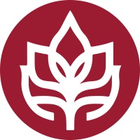 Innovative Youth Nepal Foundation logo - Similar company to Navya Nepal