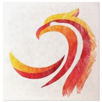 Phoenix Aerospace logo - Similar company to Agaleus