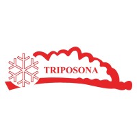 TRIPOSONA logo - Similar company to Masbach Group