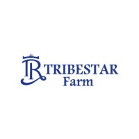 Tribestar.MD logo - Similar company to Stresens