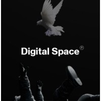 Digital Space - Web Agency based in Beijing, China logo - Similar company to Digital Mediums