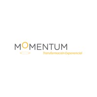 Momentum live logo - Similar company to Ladec