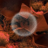 Other Futures logo - Similar company to (A)Wake