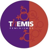 Themis, Gênero, Justiça E Direitos Humanos logo - Similar company to Themis - Gênero, Justiça E Direitos Humanos