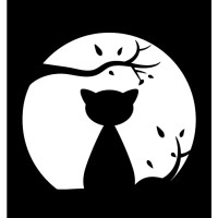 Widelky Studio logo
