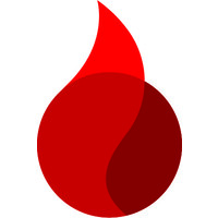 FlamingSoft Inc logo - Similar company to Szopa Creative