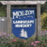 Molzon Landscape Nursery, Inc