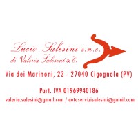 Autoservizi Lucio Salesini s.n.c. di Valeria Salesini & C. logo - Similar company to Autoservizi Condorelli