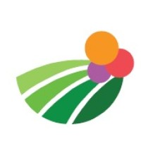 Novella logo - Similar company to Myair Longevity