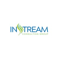 Instream Consulting Group logo - Similar company to Vgderma