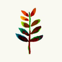 SUGi logo - Similar company to Ecosattva