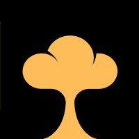 SaaSBoomi Surat logo - Similar company to Flutter Surat