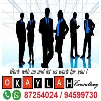 Okaylah Consulting LLP logo - Similar company to Ental.