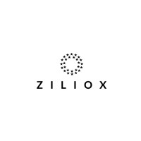 Ziliox UG logo - Similar company to Stairboard