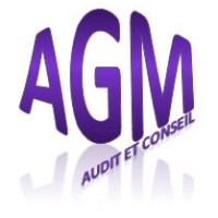 AGM Audit et Conseil logo - Similar company to Digitaconseil
