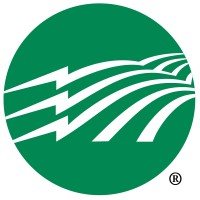 Amicalola Electric Membership Corporation logo - Similar company to Yashoda Foundation