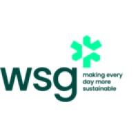 WSG logo - Similar company to Csa Specialised Services