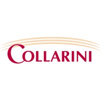 Collarini Engineering Inc., dba Collarini Associates logo - Similar company to Legacy Mineral Management