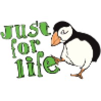 Flycards Или Justforlife
