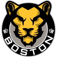 The Boston Pride logo - Similar company to Buffalo Beauts