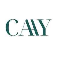 CAAY - Consulting & Agency by Alina Yüksel logo - Similar company to Caay Engineering