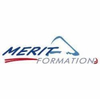 Merit Formation logo - Similar company to Nlg Formations