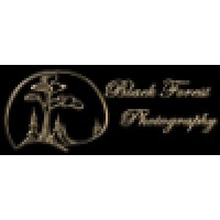 Black Forest Photography logo - Similar company to Two Sapphires