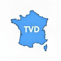 TVD logo - Similar company to Tvd