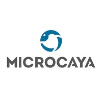 Microcaya logo - Similar company to Xtart