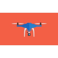 Dronenedir.Com