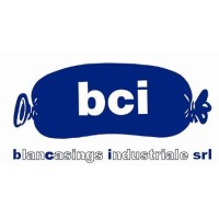 BLANCASINGS INDUSTRIALE S.R.L. logo - Similar company to Thomas Riedel Gmbh