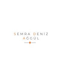 The Intelligent Leaders School logo - Similar company to L&R Consulting