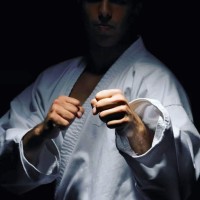 Martial Art University logo - Similar company to International Jigokuryu Martial Arts And Fitness Organization