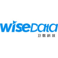 WiseData logo - Similar company to Nextworks