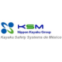Kayaku Safety Systems De Mexico