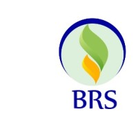 BRS Recruitment Services (SMC-Private) Limited logo - Similar company to Tabubil Workforce & Recruitment Services Ltd