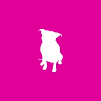 Lee Stafford World logo - Similar company to Agência Luzco