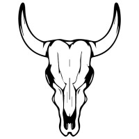 Saloon Texas Barber logo - Similar company to Builders Professional Development Centre