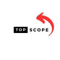 TopScope Holding GmbH logo - Similar company to Twyns | Digital Supervision And Enforcement