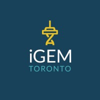 iGEM Toronto logo - Similar company to The Matter Lab