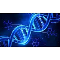Pharma Consulting Group