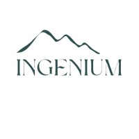 Ingenium Consulting, LLC logo - Similar company to Ingenium-Experts