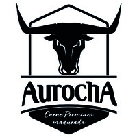 Aurocha logo - Similar company to Bimetrick