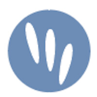 Needleye Robotics Srl logo - Similar company to Inta Systems