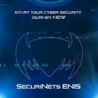 SecuriNets ENIS logo - Similar company to Collaboratetoelaborate