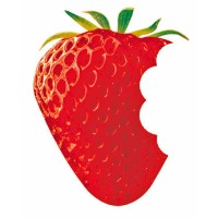 Strawberry Fields logo - Similar company to South West Maritime Academy